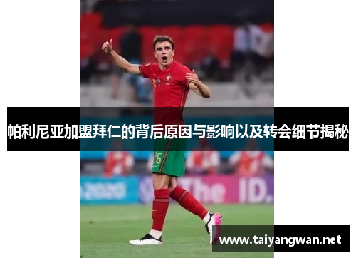 帕利尼亚加盟拜仁的背后原因与影响以及转会细节揭秘