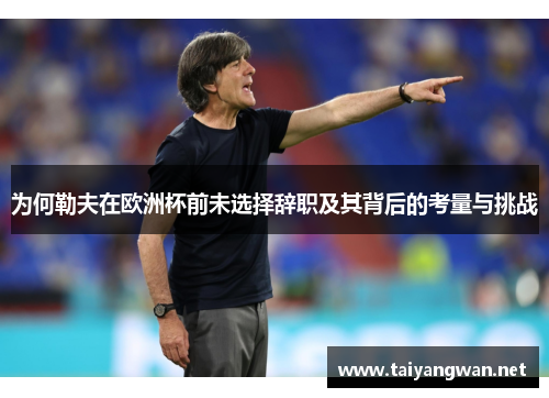 为何勒夫在欧洲杯前未选择辞职及其背后的考量与挑战